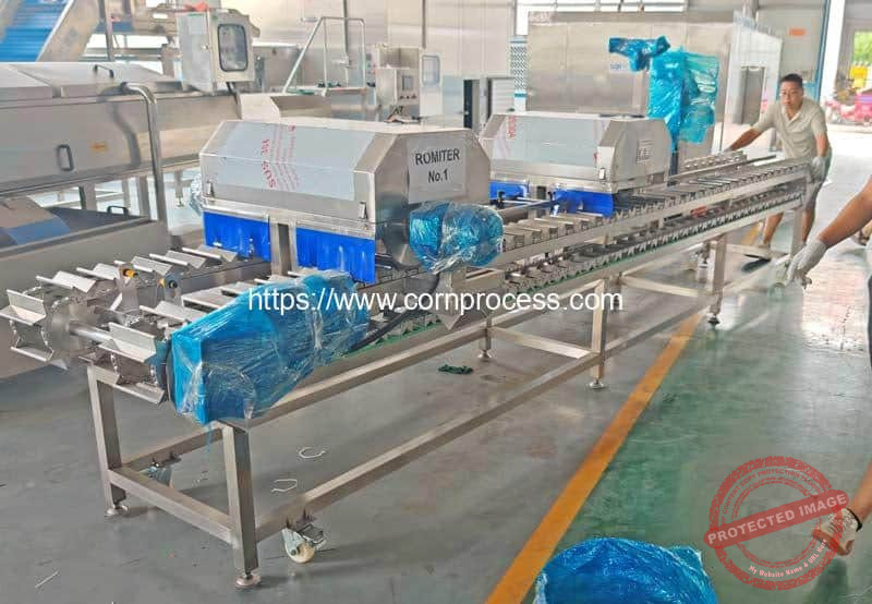 Automatic-Fresh-Sweet-Corn-Double-Head-Cutting-Machine-for-Indonesia-Customer